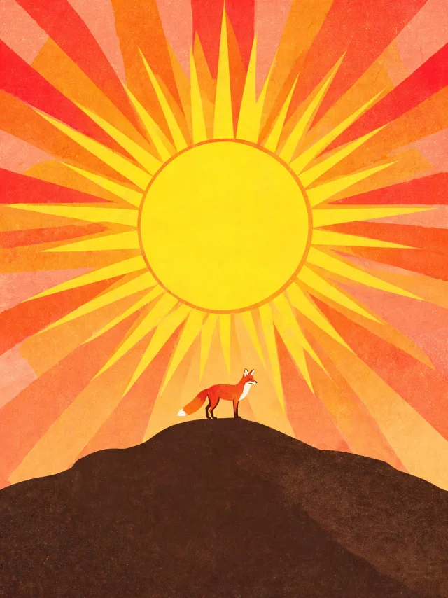 Bold stylized poster illustration of a lone fox on a hill under a giant art-deco sun with geometric rays fanning out in warm sunset colours